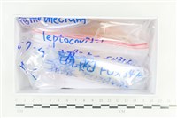 登錄號:F0038640藏品圖，第1張