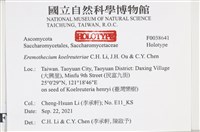 登錄號:F0038641藏品圖，第2張