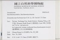 登錄號:F0038642藏品圖，第2張