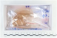 登錄號:F0038642藏品圖，第1張