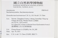 登錄號:F0038643藏品圖，第2張