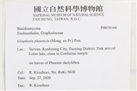 登錄號:F0038644藏品圖，第2張