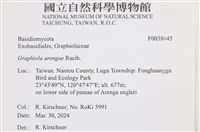 登錄號:F0038645藏品圖，第2張