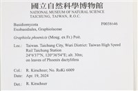 登錄號:F0038646藏品圖，第2張