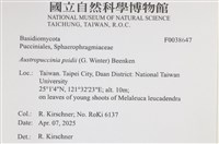 登錄號:F0038647藏品圖，第2張