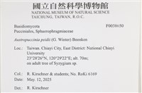 登錄號:F0038650藏品圖，第2張