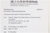 登錄號:F0038651藏品圖，第2張