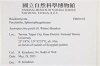 登錄號:F0038652藏品圖，第2張