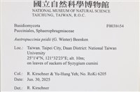 登錄號:F0038654藏品圖，第2張