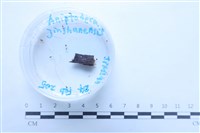 登錄號:F0038655藏品圖，第1張