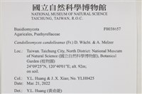 登錄號:F0038657藏品圖，第2張