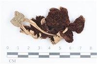 登錄號:F0038657藏品圖，第3張