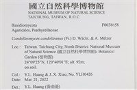 登錄號:F0038658藏品圖，第2張