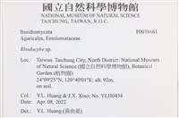 登錄號:F0038661藏品圖，第2張