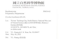 登錄號:F0038662藏品圖，第2張