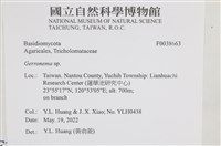 登錄號:F0038663藏品圖，第2張