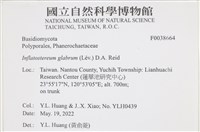 登錄號:F0038664藏品圖，第2張