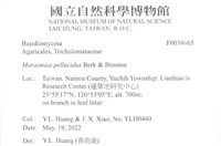 登錄號:F0038665藏品圖，第2張