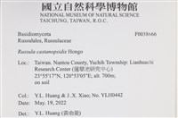 登錄號:F0038666藏品圖，第2張