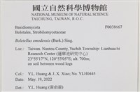 登錄號:F0038667藏品圖，第2張