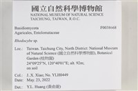 登錄號:F0038668藏品圖，第2張