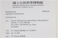 登錄號:F0038669藏品圖，第2張