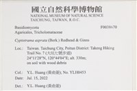 登錄號:F0038670藏品圖，第2張