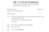 登錄號:F0038672藏品圖，第2張