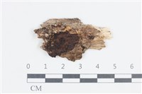 登錄號:F0038672藏品圖，第1張