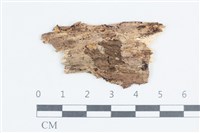 登錄號:F0038672藏品圖，第3張