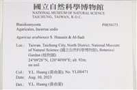 登錄號:F0038673藏品圖，第2張