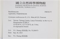 登錄號:F0038675藏品圖，第2張