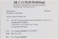 登錄號:F0038677藏品圖，第2張