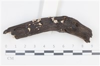 登錄號:F0038677藏品圖，第1張