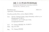 登錄號:F0038678藏品圖，第2張