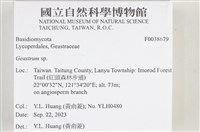 地星屬藏品圖，第2張