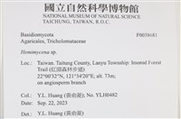 登錄號:F0038681藏品圖，第2張