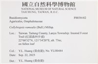 登錄號:F0038682藏品圖，第2張