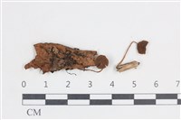 登錄號:F0038683藏品圖，第1張