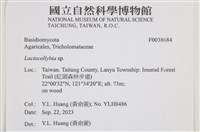 登錄號:F0038684藏品圖，第2張