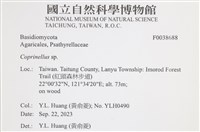 登錄號:F0038688藏品圖，第2張