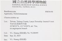 登錄號:F0038690藏品圖，第2張