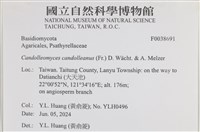 登錄號:F0038691藏品圖，第2張