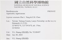 登錄號:F0038692藏品圖，第2張