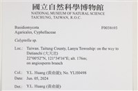 登錄號:F0038693藏品圖，第2張