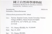 登錄號:F0038694藏品圖，第2張