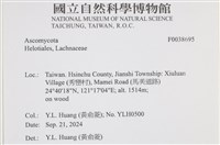 登錄號:F0038695藏品圖，第2張