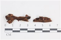 登錄號:F0038695藏品圖，第1張