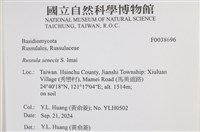 登錄號:F0038696藏品圖，第2張