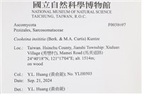 登錄號:F0038697藏品圖，第2張